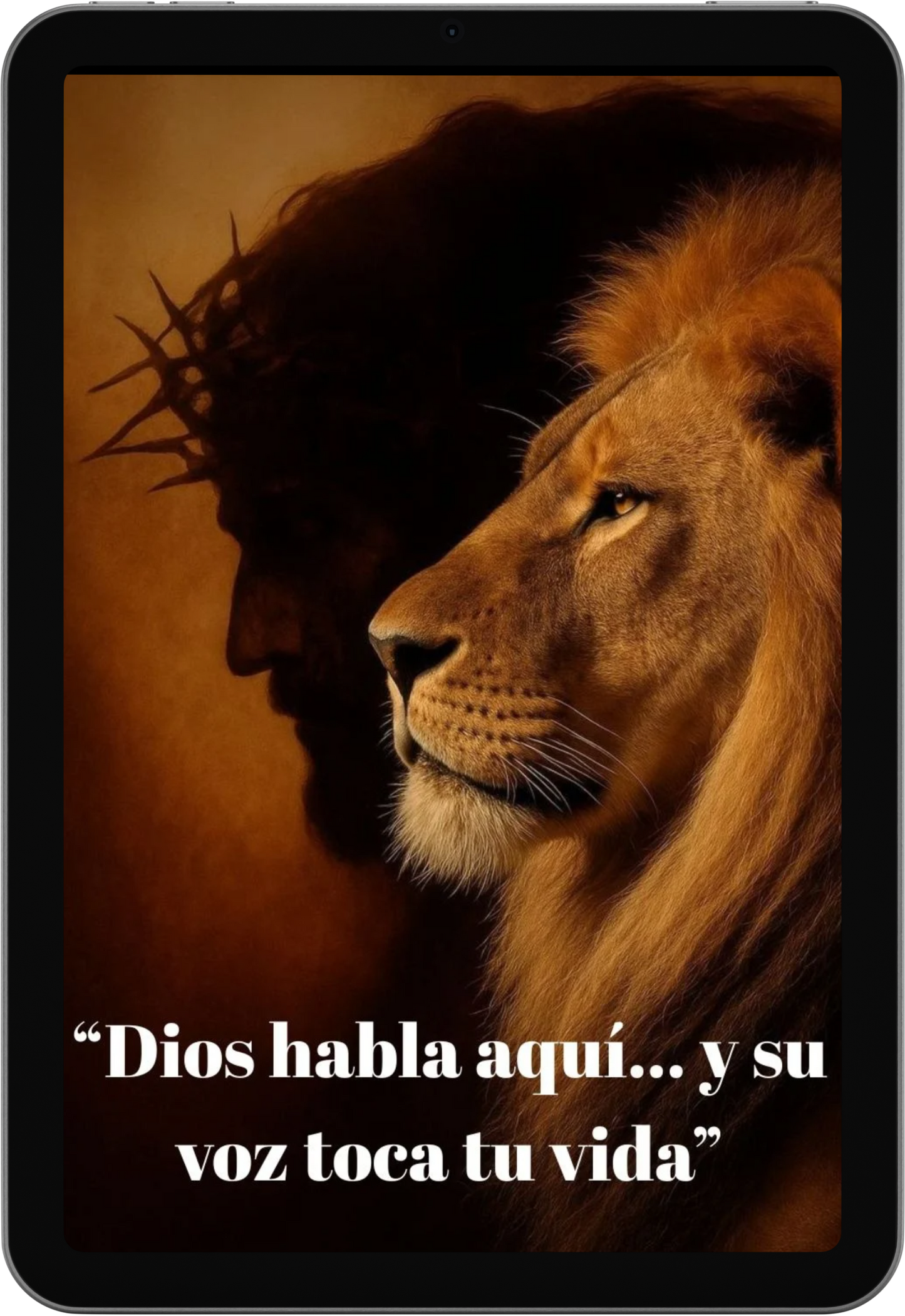 La Fuerza de la Fé en cada día de tu vida.